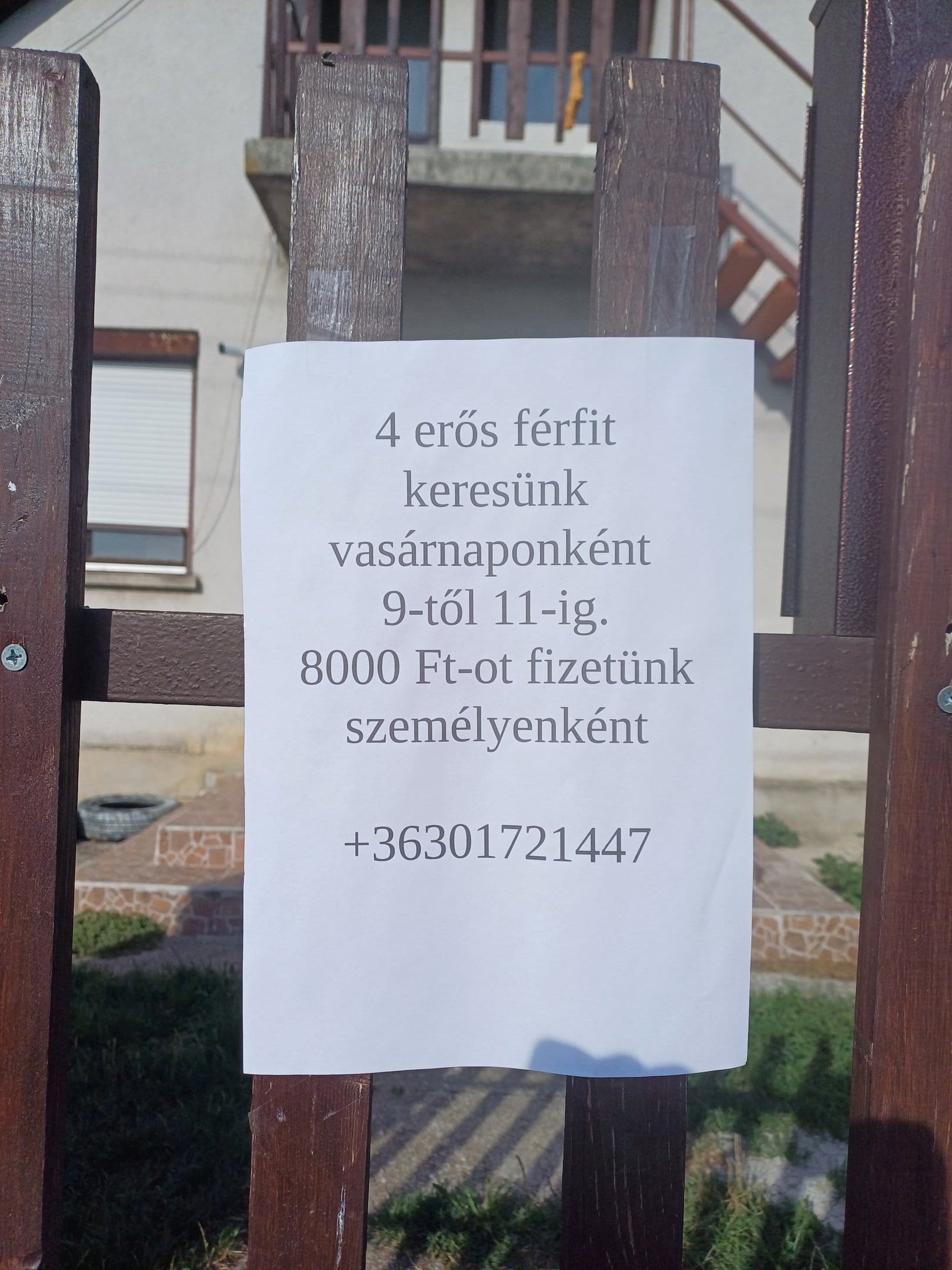20240825 084553 A3QJbJyrb8iBbRer
