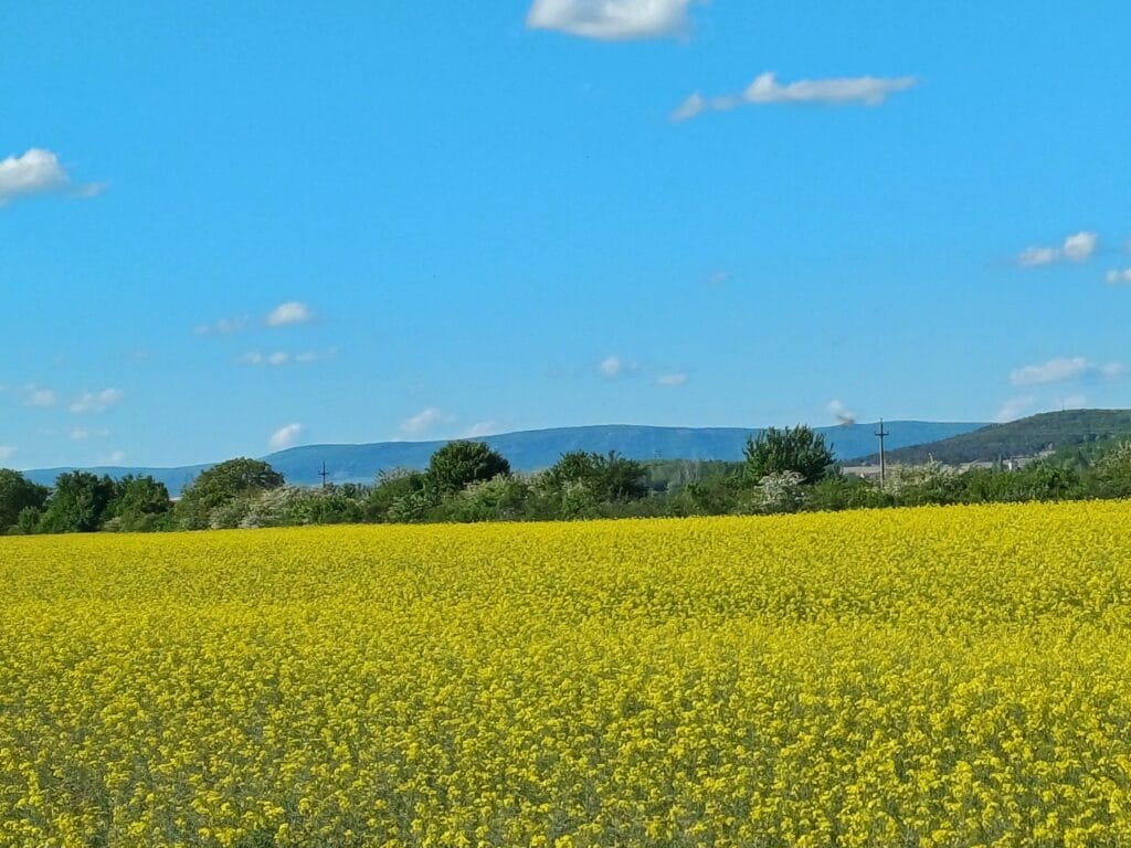 20240427 163543 m6LvwZ0OvehDO6np