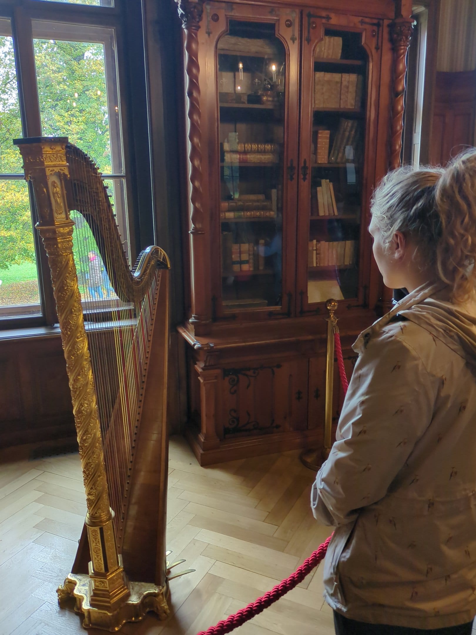 Gouden harp in Ladasladany