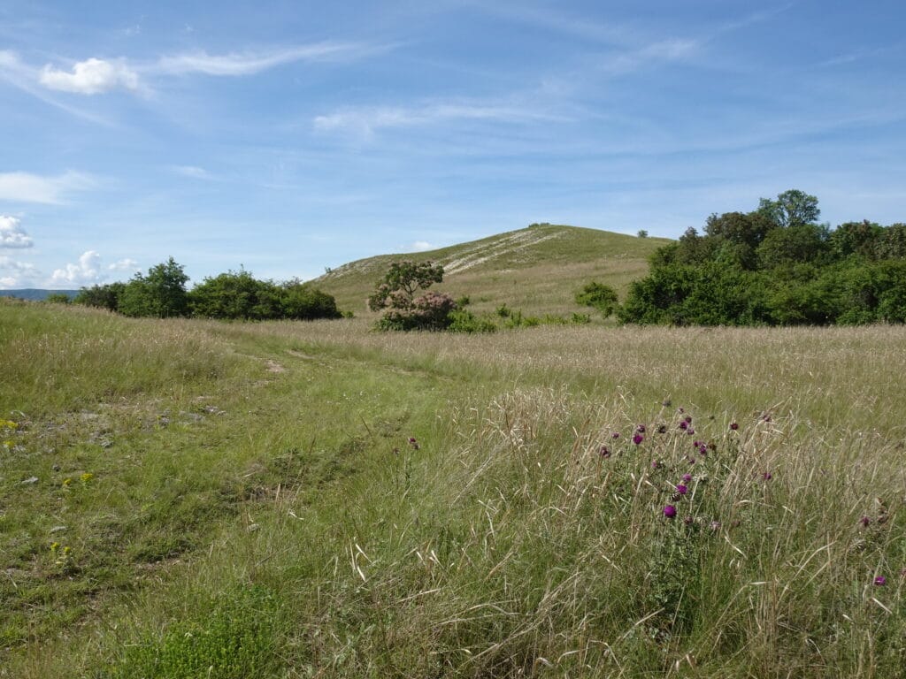 DSC02552