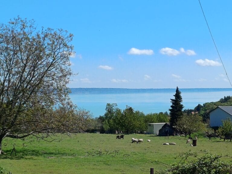 Circuit à vélo autour de Balatonalmádi