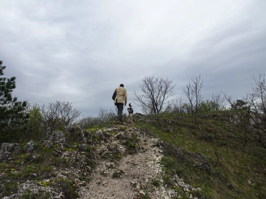wandelen met je hond tijdens je vakantie