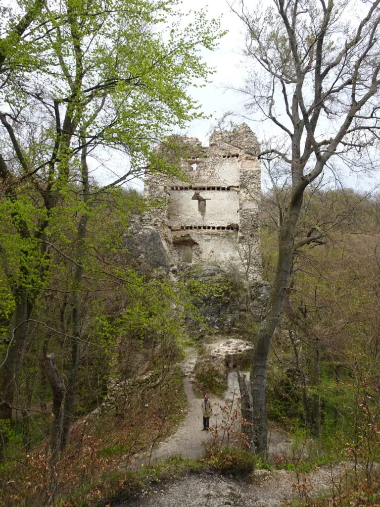 Bátorkő Vára