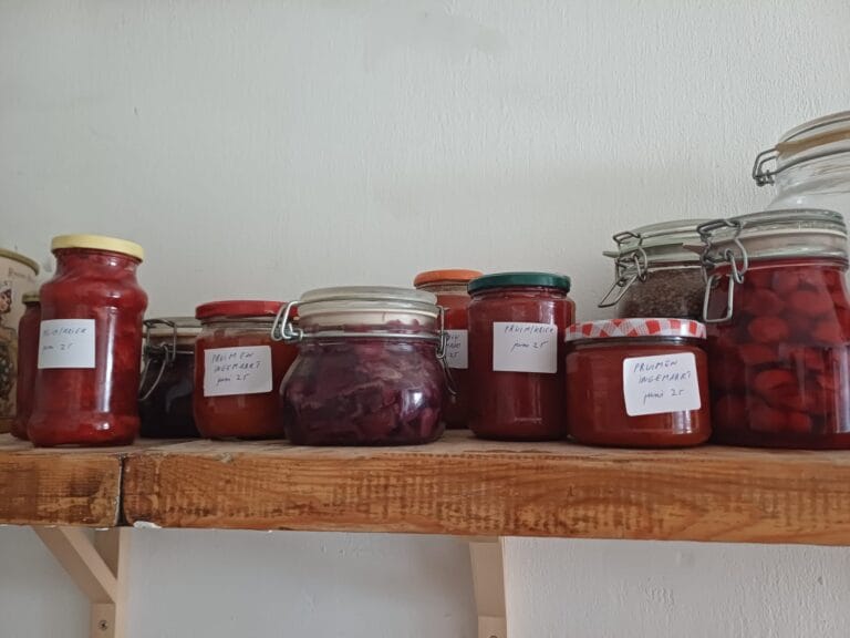 Ingemaakte fruit en groenten