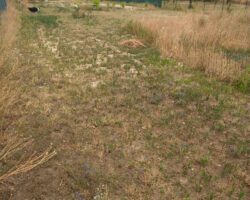 IMG 20250704 132902 265 scaled