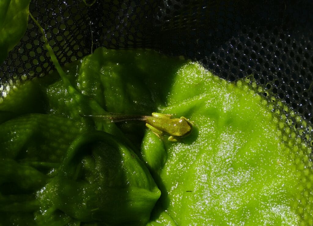 P1050501 1