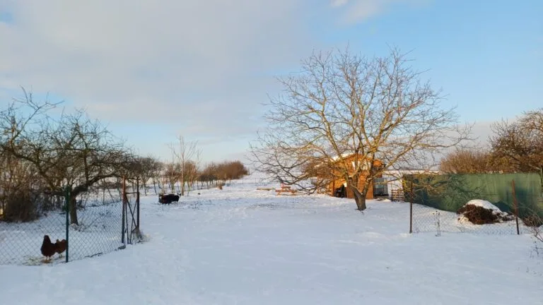Winter in Hongarije