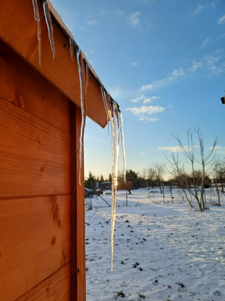 landschap2