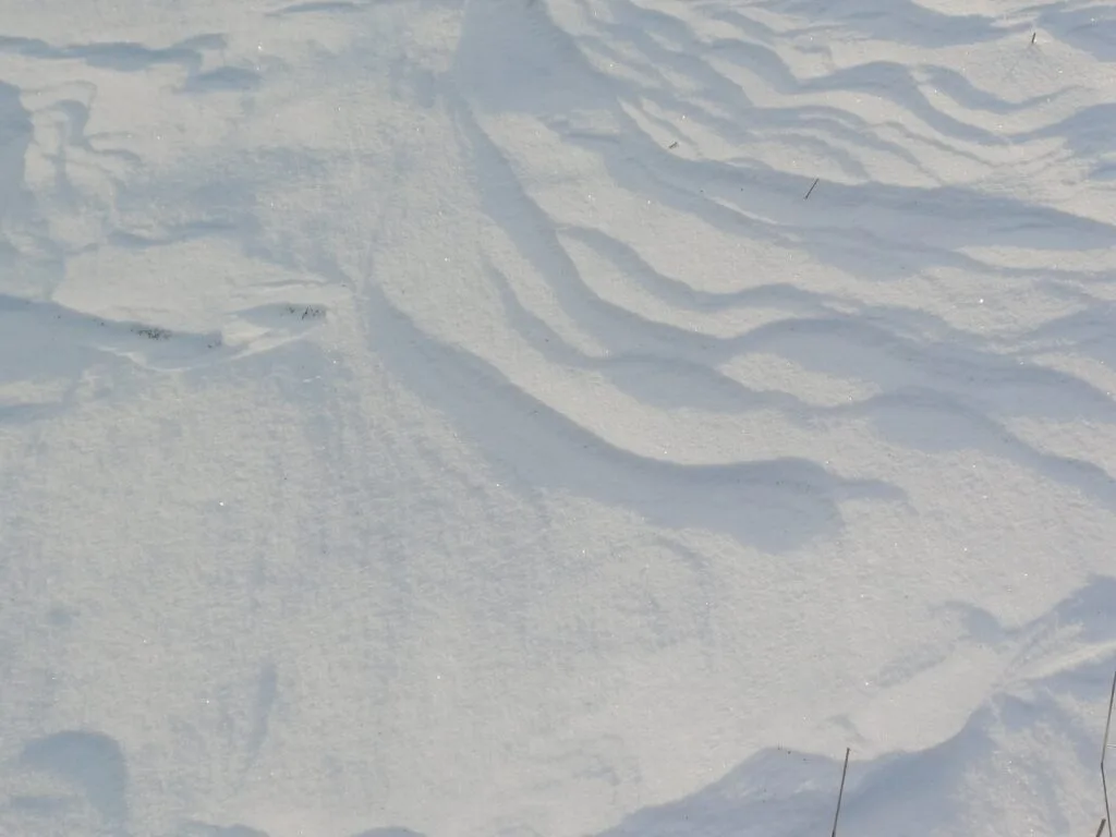 sneeuw1