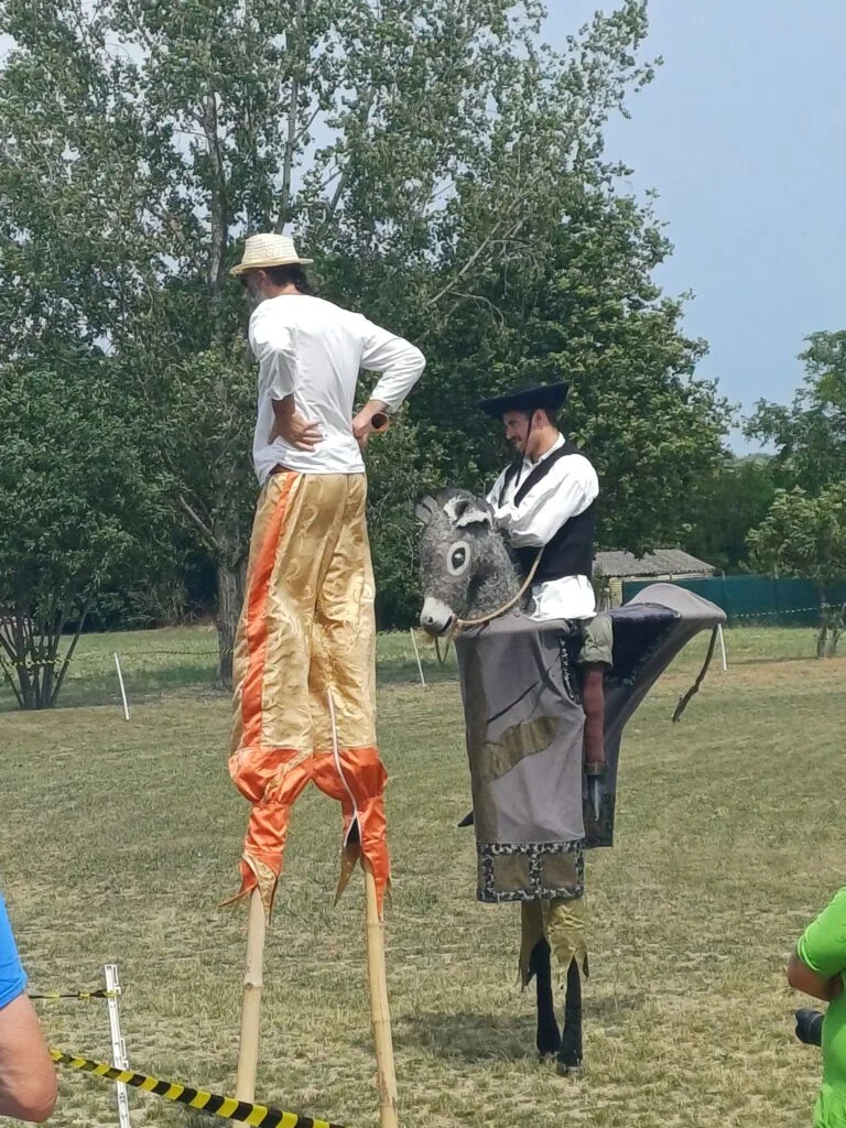 Paarden van de Puszta