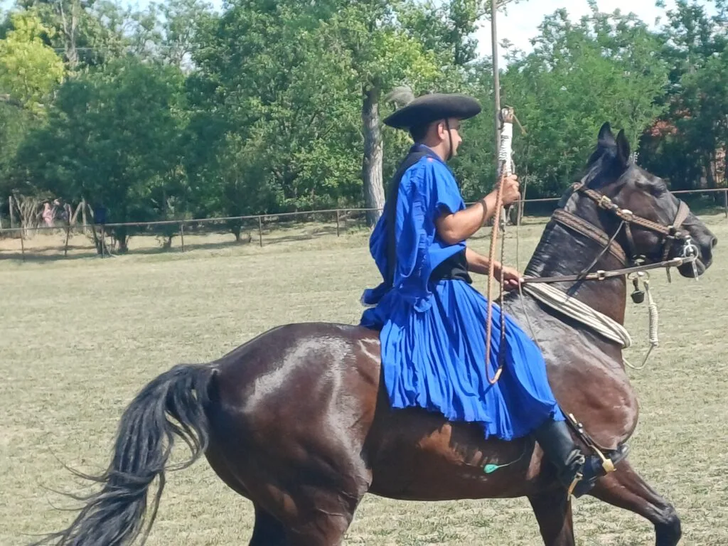 Paarden van de Puszta