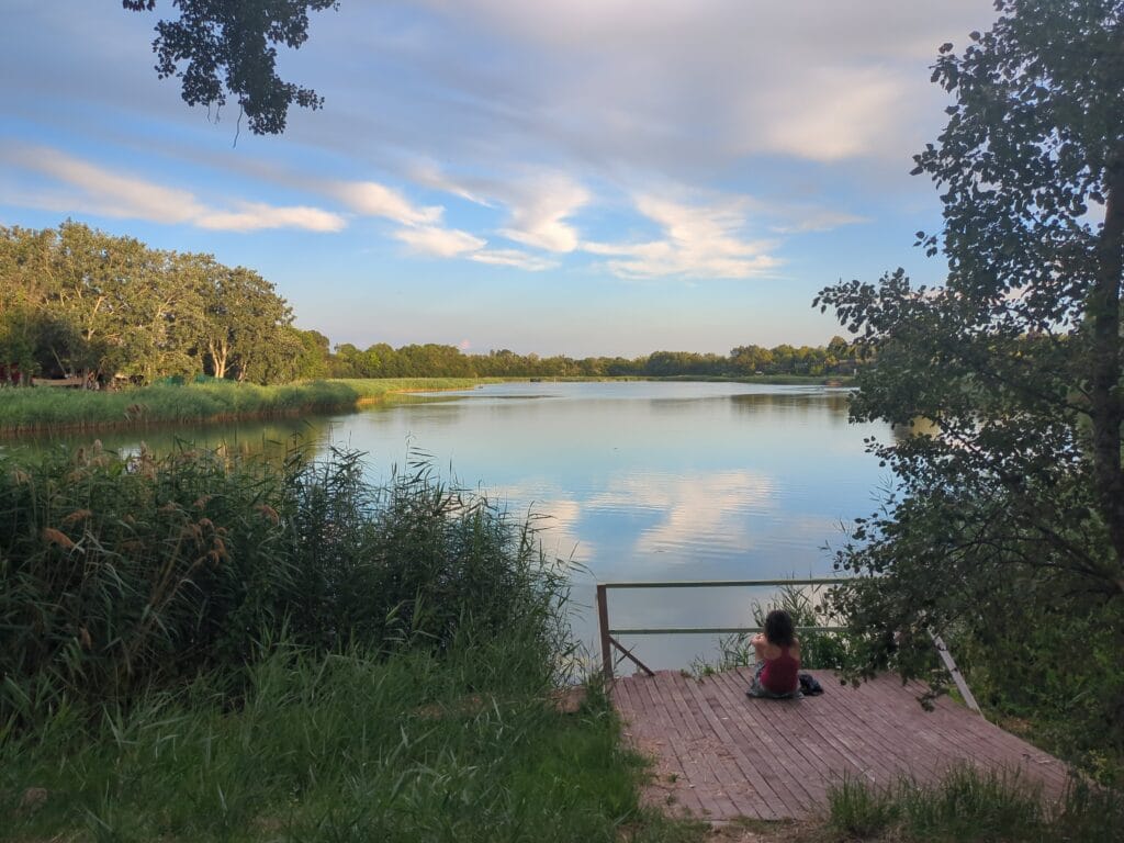 IMG 20260623 195157 468