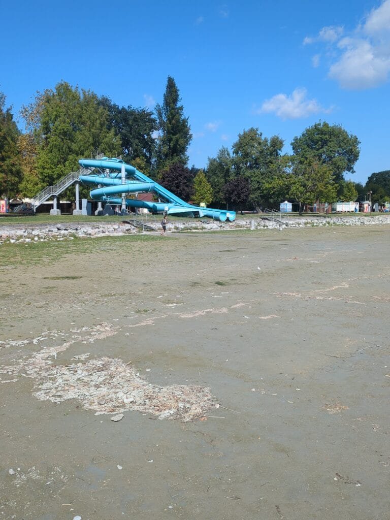 Dürre
